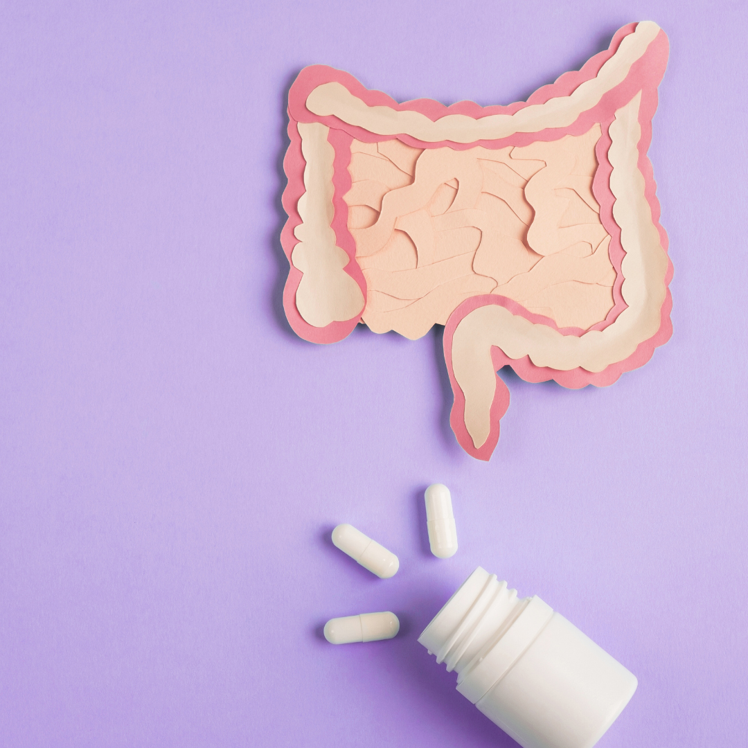 A Smoother Path to Wellness: Probiotic Strain Improves Stool Characteristics, Study Finds